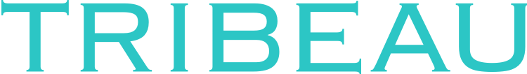株式会社トリビュー